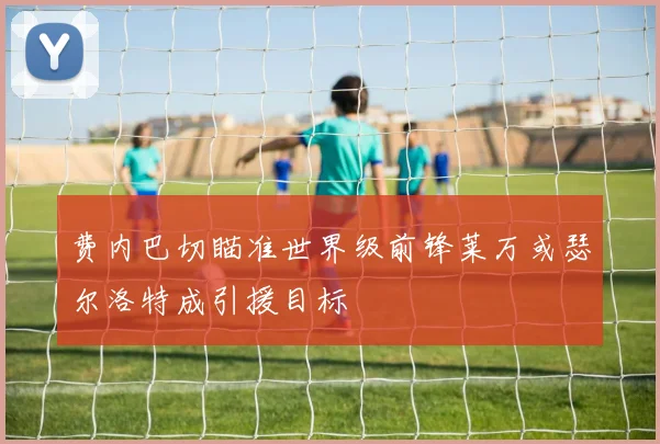 费内巴切瞄准世界级前锋莱万或瑟尔洛特成引援目标