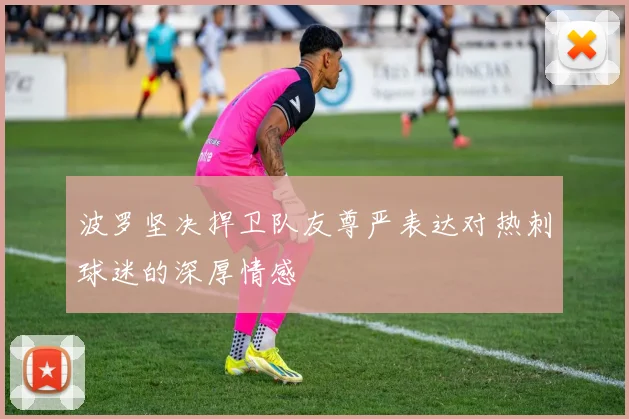 波罗坚决捍卫队友尊严表达对热刺球迷的深厚情感