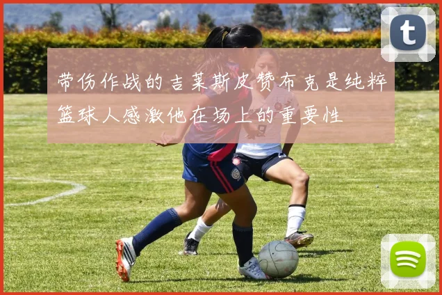 带伤作战的吉莱斯皮赞布克是纯粹篮球人感激他在场上的重要性