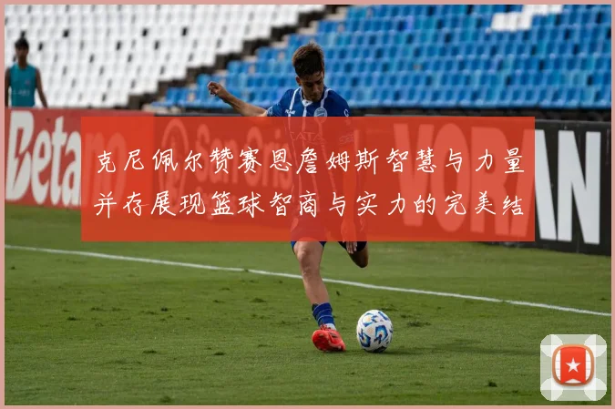 克尼佩尔赞赛恩詹姆斯智慧与力量并存展现篮球智商与实力的完美结合